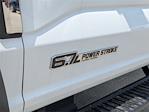 New 2025 Ford F-550 XLT Regular Cab 4WD Cab Chassis for sale #25FC578 - photo 12