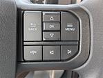 2026 Ford F-250 Regular Cab 4WD Pickup for sale #26FC040 - photo 16