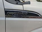 2015 Ford F-250 Crew Cab 4WD Pickup for sale #5FX0593P - photo 10