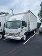 2024 Chevrolet LCF 4500HG Regular Cab 4x2, Morgan Truck Body FRP Dry Freight Box Truck for sale #24CC9 - photo 8