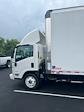 2024 Chevrolet LCF 4500HG Regular Cab 4x2, Morgan Truck Body FRP Dry Freight Box Truck for sale #24CC9 - photo 3