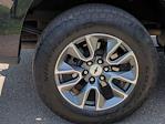 2023 Chevrolet Silverado 1500 Crew Cab 4x4 Pickup for sale #25C2209A - photo 32