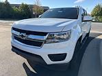 2019 Chevrolet Colorado Crew Cab 4x4 Pickup for sale #5C20A - photo 3