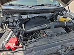 2013 Ford F-150 SuperCrew Cab 4x4 Pickup for sale #25G3386B - photo 29