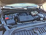 2020 GMC Sierra 1500 Crew Cab 4x4 Pickup for sale #25G4131A - photo 29
