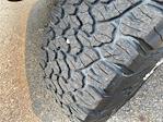 2015 Ford F-250 Crew Cab 4x4 Pickup for sale #5L320B - photo 16