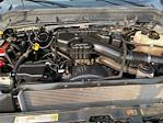 2015 Ford F-250 Crew Cab 4x4 Pickup for sale #5L320B - photo 18