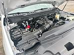 New 2024 Ford F-250 Regular Cab Service Truck for sale #575422 - photo 23