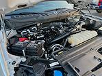 Used 2024 Ford F-150 STX SuperCrew Cab for sale #575474A - photo 26