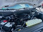 2023 Ford F-150 SuperCrew Cab 4x2 Pickup for sale #575633A - photo 26