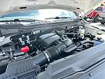 2024 Ford F-250 Crew Cab 4x4 Pickup for sale #575700A - photo 26