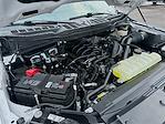 2024 Ford F-150 SuperCrew Cab 4x4 Pickup for sale #575744A - photo 26