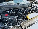 2024 Ford F-150 SuperCrew Cab 4x4 Pickup for sale #575747A - photo 26