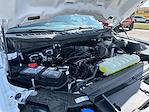 2024 Ford F-150 SuperCrew Cab 4x4 Pickup for sale #575751B - photo 26