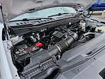 Used 2024 Ford F-250 XL Crew Cab for sale #575953A - photo 26