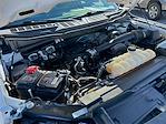 Used 2022 Ford F-150 XL Regular Cab for sale #576550A - photo 24