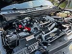 2024 Ford F-250 Crew Cab 4x4 Pickup for sale #596280 - photo 26