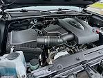 2023 Toyota Tacoma Double Cab RWD Pickup for sale #596290 - photo 26