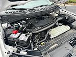 2023 Ford F-150 SuperCrew Cab 4WD Pickup for sale #794343 - photo 26