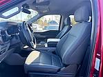 2024 Ford F-150 SuperCrew Cab 4WD Pickup for sale #794344 - photo 8