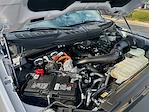 Used 2024 Ford F-150 XLT SuperCrew Cab for sale #794347 - photo 26