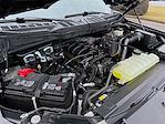 Used 2024 Ford F-150 XLT SuperCrew Cab for sale #794357 - photo 26