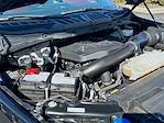 2023 Ford F-150 SuperCrew Cab 4WD Pickup for sale #794367 - photo 26