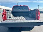 2023 Ford F-150 SuperCrew Cab 4WD Pickup for sale #794369 - photo 16