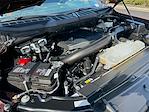 2023 Ford F-150 SuperCrew Cab 4WD Pickup for sale #794369 - photo 26