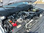 2020 Ford F-350 Crew Cab SRW 4WD Pickup for sale #796099 - photo 26