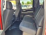 2023 Chevrolet Silverado 1500 Crew Cab 4WD Pickup for sale #24F1100S - photo 13