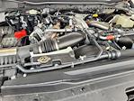 New 2024 Ford F-350 Limited Crew Cab 4WD SRW Pickup for sale #24F1185 - photo 19