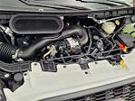 2024 Ford Transit 250 Low Roof RWD Empty Cargo Van for sale #24F699 - photo 18