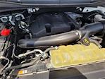 2020 Ford F-150 SuperCrew Cab RWD Pickup for sale #24F763T - photo 17