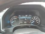 2020 Ford F-150 SuperCrew Cab 4WD Pickup for sale #25F1023A - photo 8