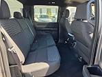 2023 Ford F-150 SuperCrew Cab RWD Pickup for sale #25F1147S - photo 18