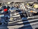 2024 Ford F-250 Crew Cab 4WD Pickup for sale #25F1210D - photo 20