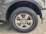2018 Ford F-150 SuperCrew Cab 4WD Pickup for sale #25F1278A - photo 11