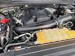 2018 Ford F-150 SuperCrew Cab 4WD Pickup for sale #25F1278A - photo 20