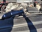 2019 Chevrolet Silverado 3500 Crew Cab 4WD Pickup for sale #25F1309B - photo 20