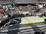 2024 Ford F-150 SuperCrew Cab 4WD Pickup for sale #25F290B - photo 18