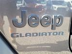 2020 Jeep Gladiator Crew Cab 4WD Pickup for sale #25F311S - photo 13