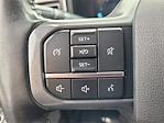 2023 Ford F-250 Crew Cab 4WD Pickup for sale #25F344A - photo 30