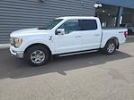 2021 Ford F-150 SuperCrew Cab 4WD Pickup for sale #25F551T - photo 1