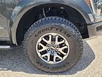 2021 Ford F-150 SuperCrew Cab 4WD Pickup for sale #25F684A - photo 10