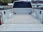 2022 Ford F-250 Crew Cab 4WD Pickup for sale #25F832A - photo 9