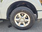 2024 Ford F-150 SuperCrew Cab 4WD Pickup for sale #PF4385 - photo 11