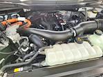2024 Ford F-150 SuperCrew Cab 4WD Pickup for sale #PF4385 - photo 19