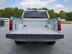 2024 Ford F-150 SuperCrew Cab 4x2 Pickup for sale #24T1300 - photo 10