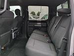 2019 Ford F-150 SuperCrew Cab 4x2 Pickup for sale #24T1613A - photo 14